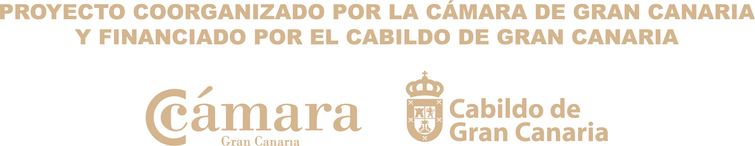 Proyecto coorganizado por la Cámara de Gran Canaria y financiado por el Cabildo de Gran Canaria